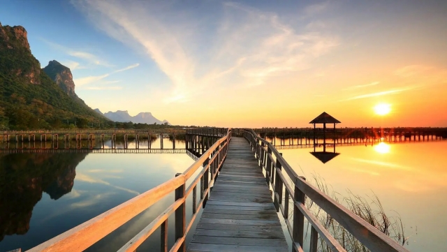 金年会公司：园林绿化木瓜是什么意思