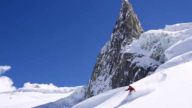 jinnian金年会：园林绿化台风