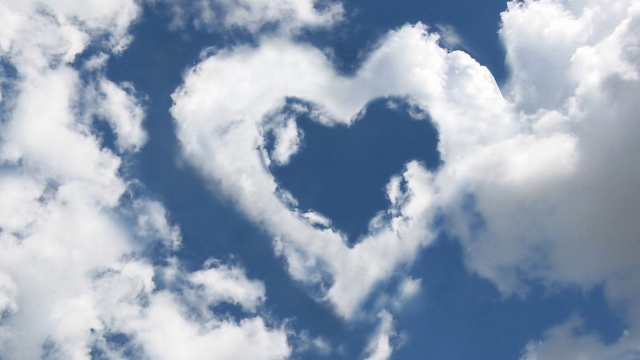 金年会：园林绿化防治知识