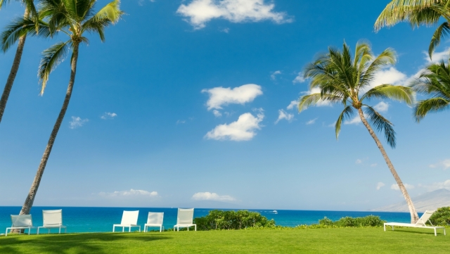 园林绿化碎枝子