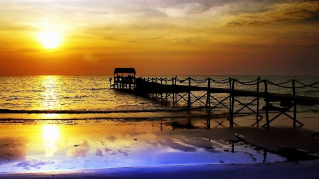 jinnianhui金年会：园林绿化及观赏植物