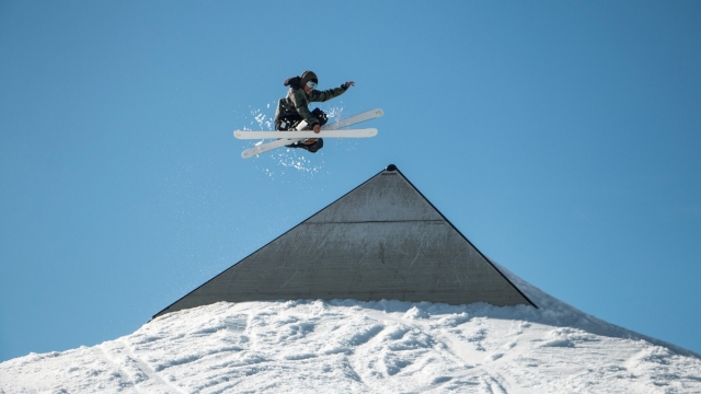 jinnianhui金年会：园林绿化地铺