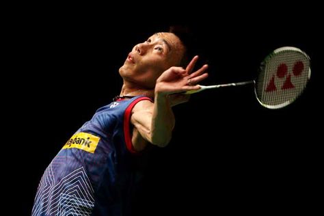 园林绿化树木植物