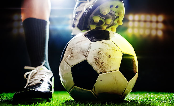 jinnianhui金年会：园林绿化常用彩叶树种