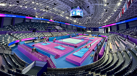 金年会：园林绿化银杏用雌杏