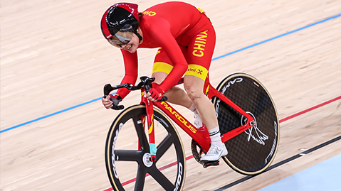 金年会：园林绿化汇